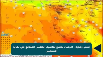 نسب رطوبة.. الأرصاد توضح تفاصيل الطقس المتوقع حتى نهاية أغسطس